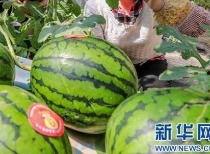 淄博吃瓜爆料事件最新消息,最新进展揭秘，真相即将揭晓  第3张